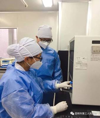 深入解析 结核病基因及耐药检测技术Xpert MTB/RIF的研发历程与应用前景