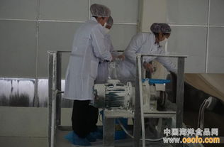 田林县食药监管局深入企业开展糖与淀粉专项抽样 筑牢食品安全防线